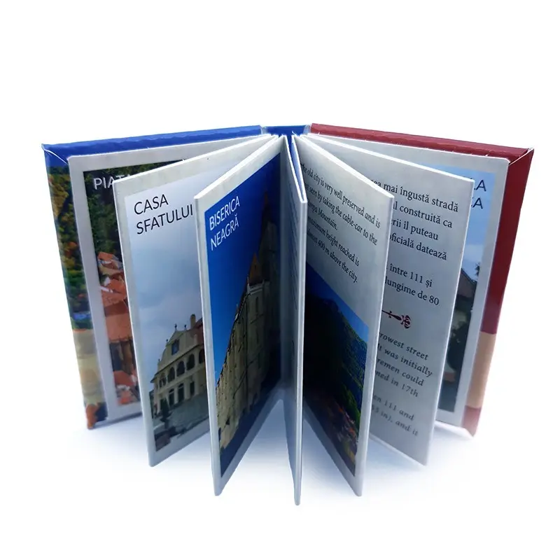 Brasov, magnet carte bilingv